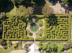 Ashcombe Maze & Lavender Gardens