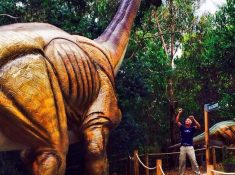 Dinosaur World