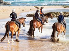 Gunnamatta Trail Rides