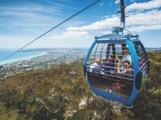 Arthurs seat eagle