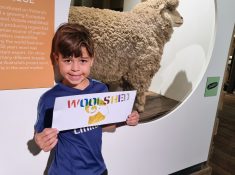 geelong wool museum