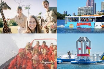 gold coast attractions